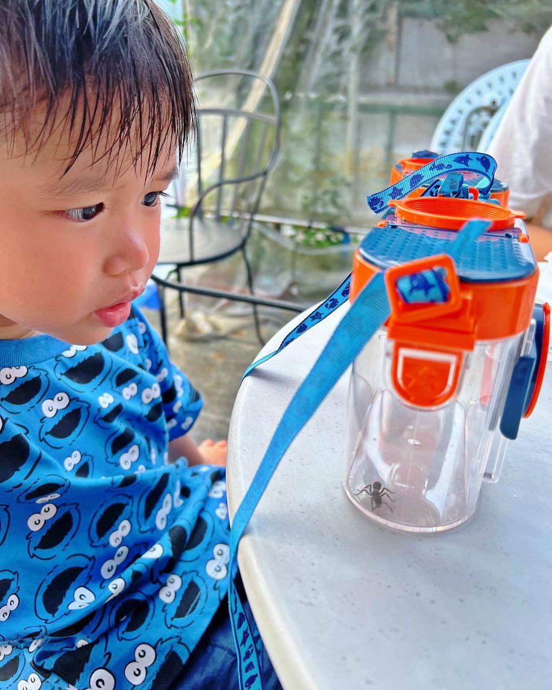 胡杏兒囝囝另外捕捉到大螞蟻。