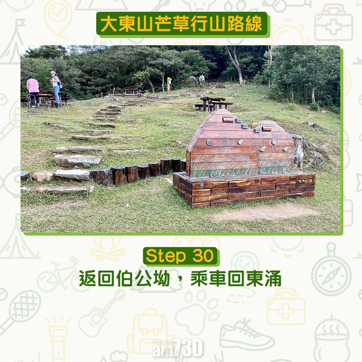 大東山芒草行山路線