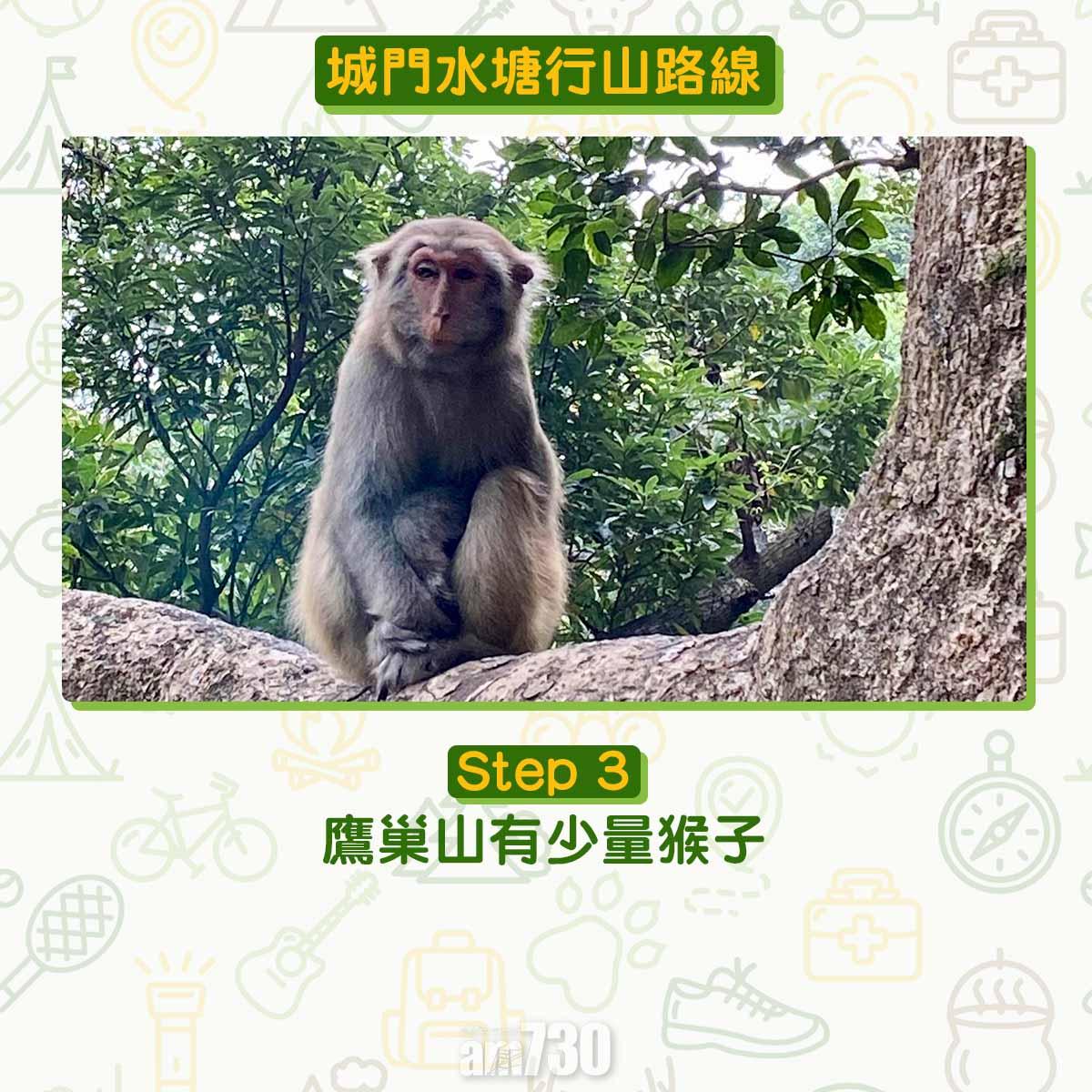 城門水塘行山路線