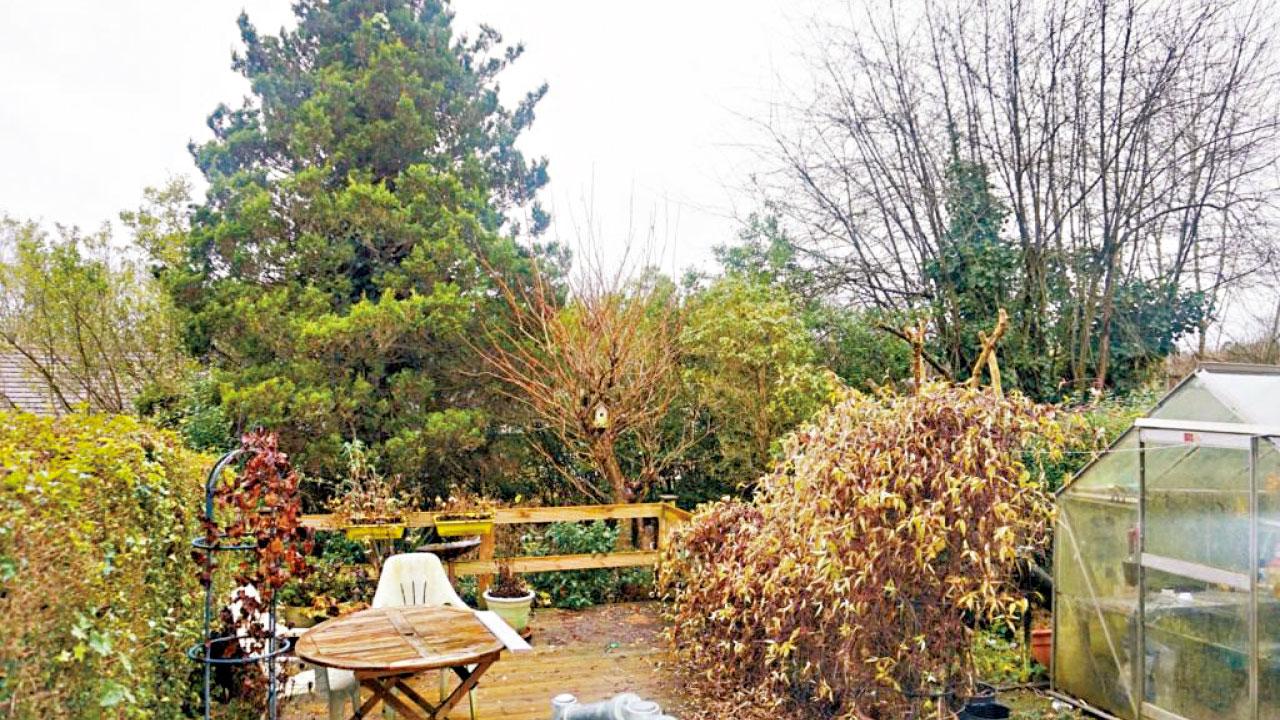 海外樓市|英租金漲 回報或逾6厘