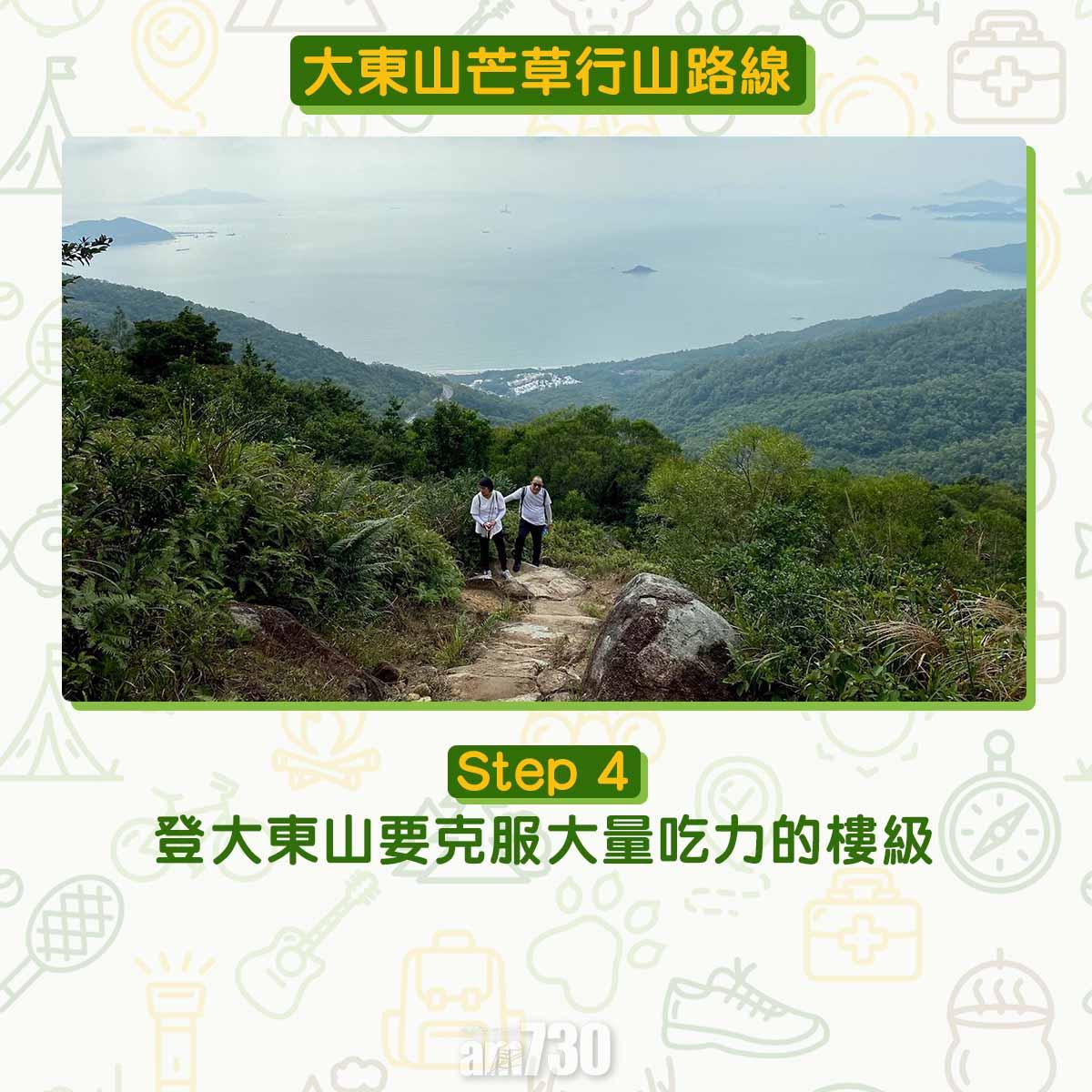 大東山芒草行山路線