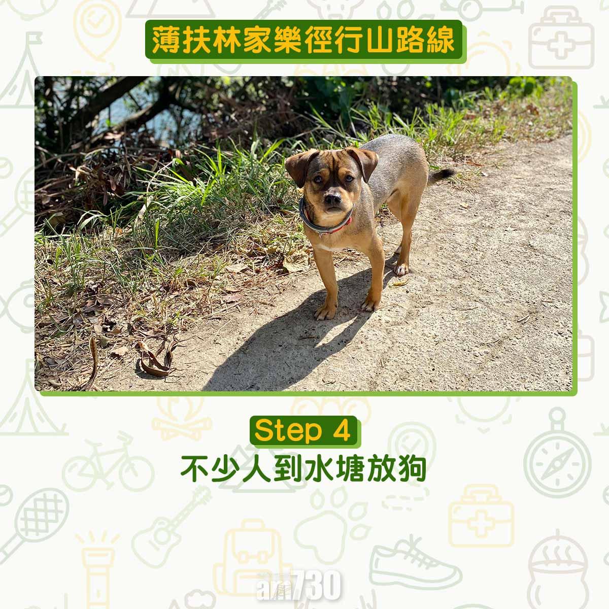 薄扶林家樂徑行山路線