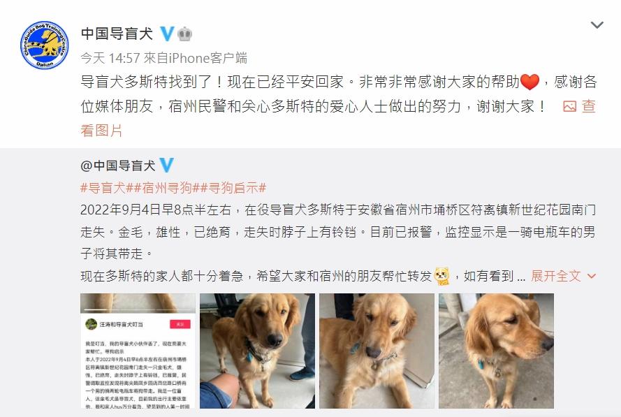 中國導盲犬大連培訓基地微博「中國導盲犬」表示,涉事導盲犬已平安回家。(中國導盲犬微博)