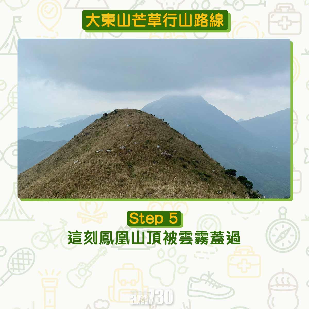 大東山芒草行山路線