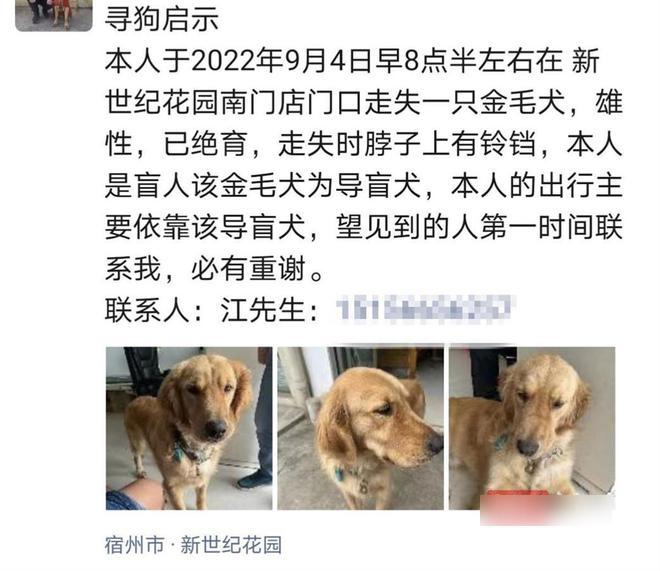 江先生在社交媒體發布尋找導盲犬啟示。(互聯網)