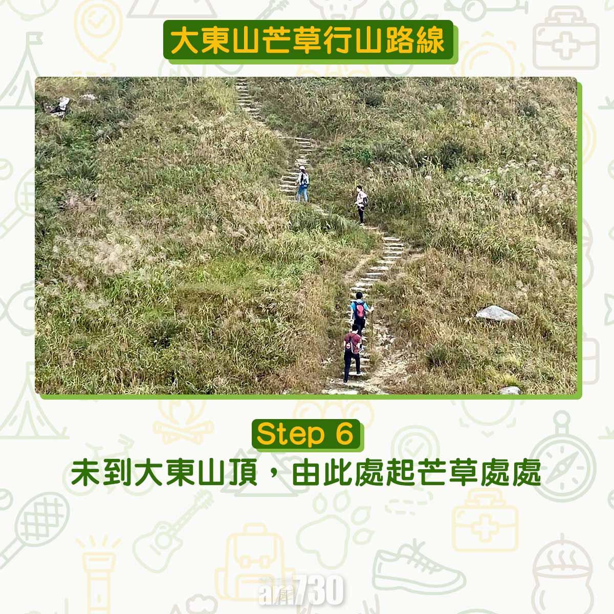 大東山芒草行山路線