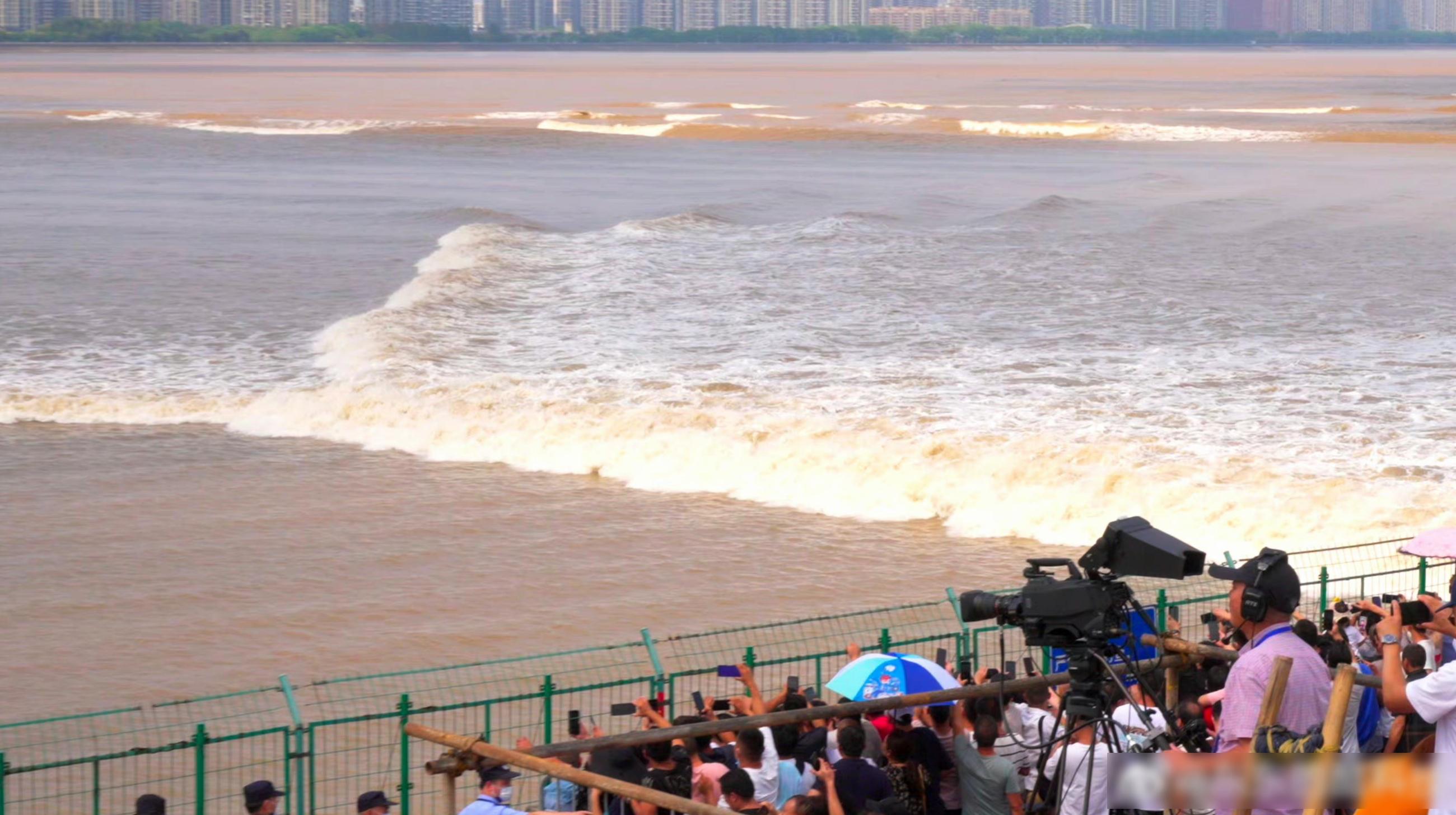 近日觀看錢塘江大潮的人潮。(互聯網)