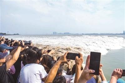 近日觀看錢塘江大潮的人潮。(互聯網)