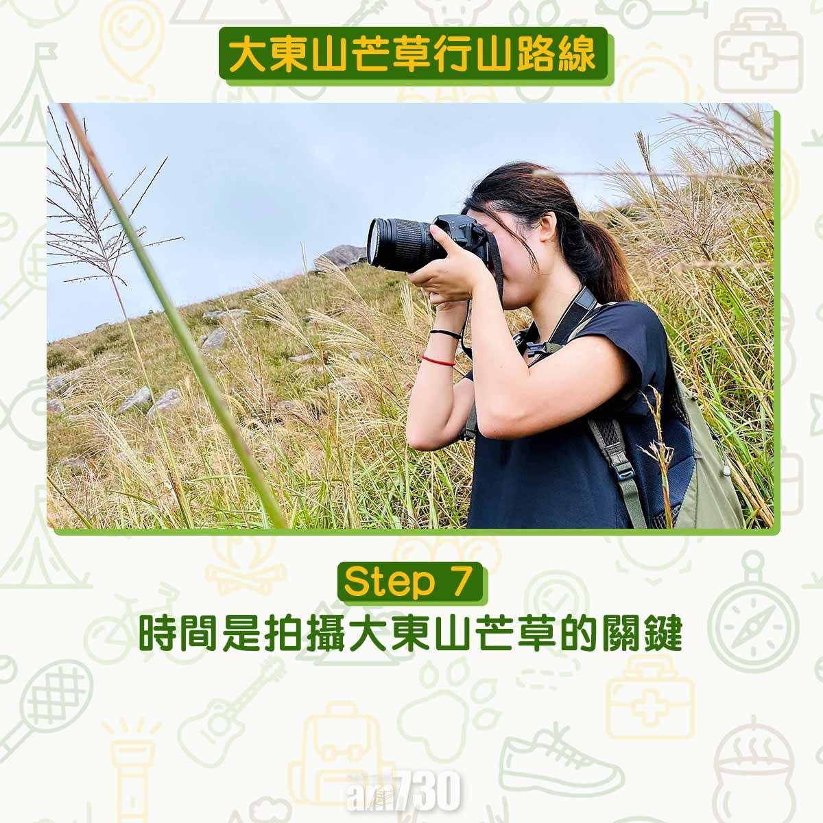 大東山芒草行山路線