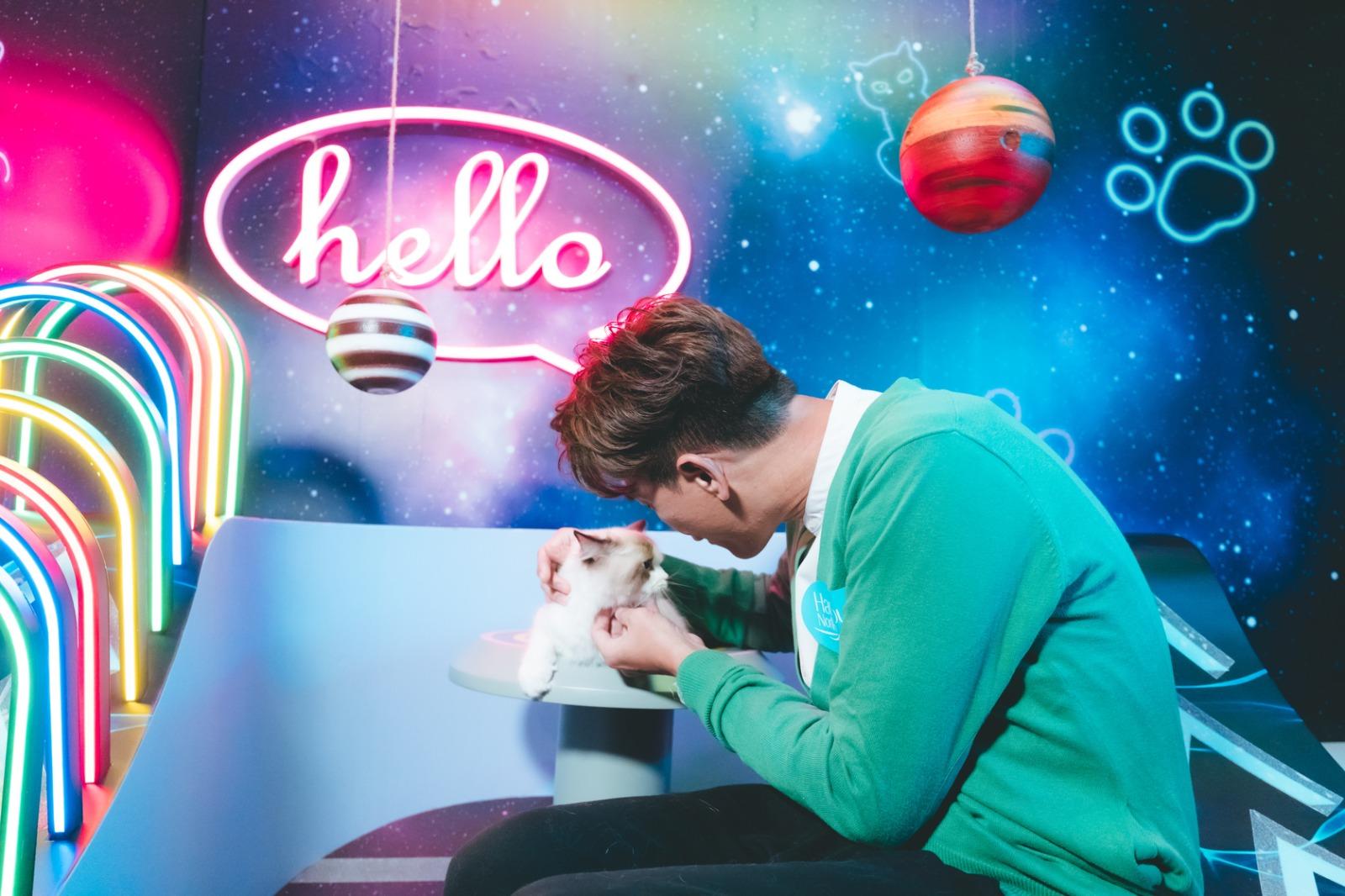 馬明與貓咪玩轉「忍者貓道場」。