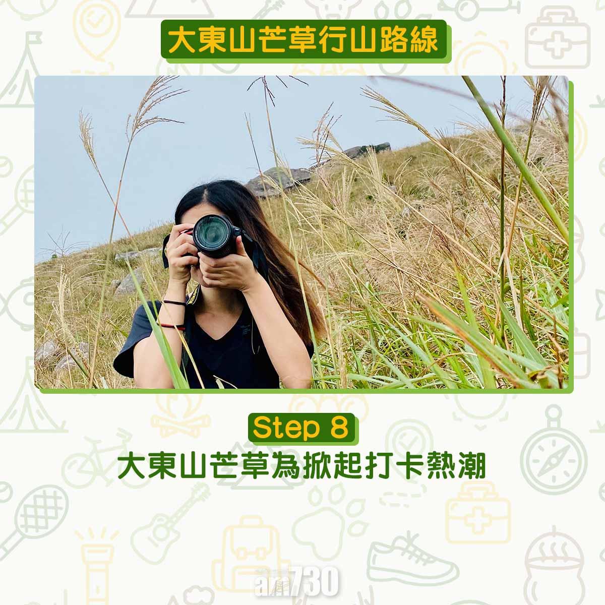 大東山芒草行山路線
