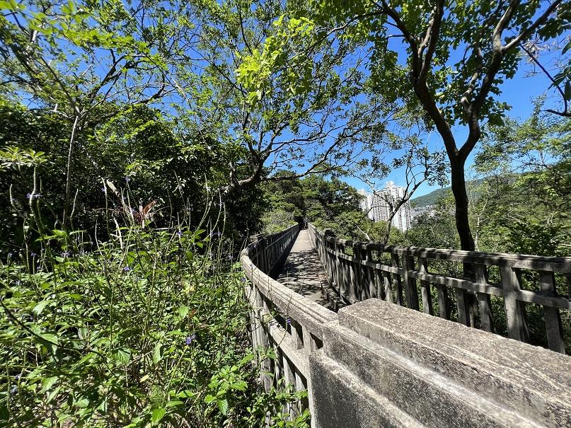 柴灣猛鬼橋