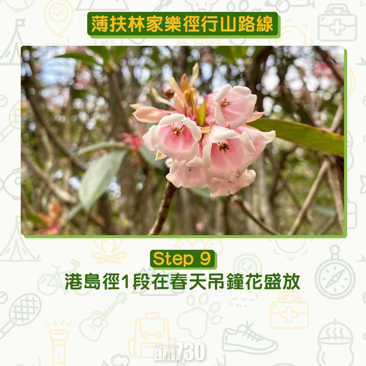 薄扶林家樂徑行山路線