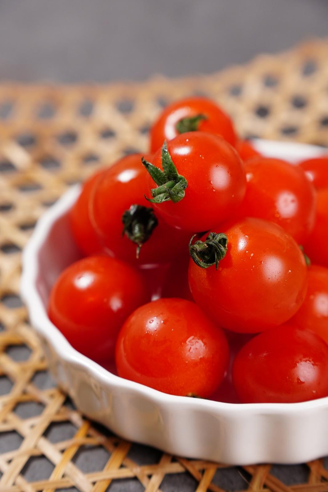 AquaGreen荷蘭種子紅車厘茄