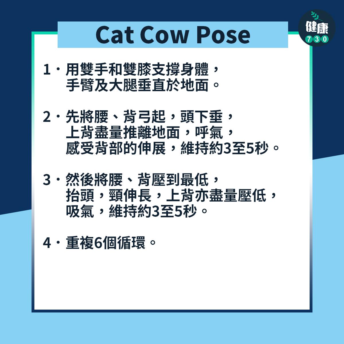 肩頸痛舒緩伸展|Cat Cow Pose貓牛式(am730製圖)