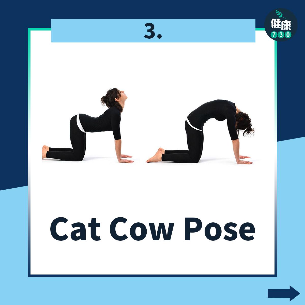 肩頸痛舒緩伸展|Cat Cow Pose貓牛式(am730製圖)