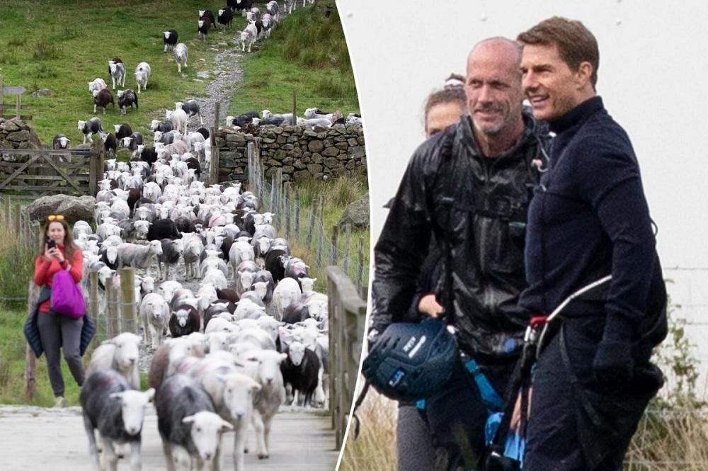 阿湯笑笑口望住大群綿羊經過。