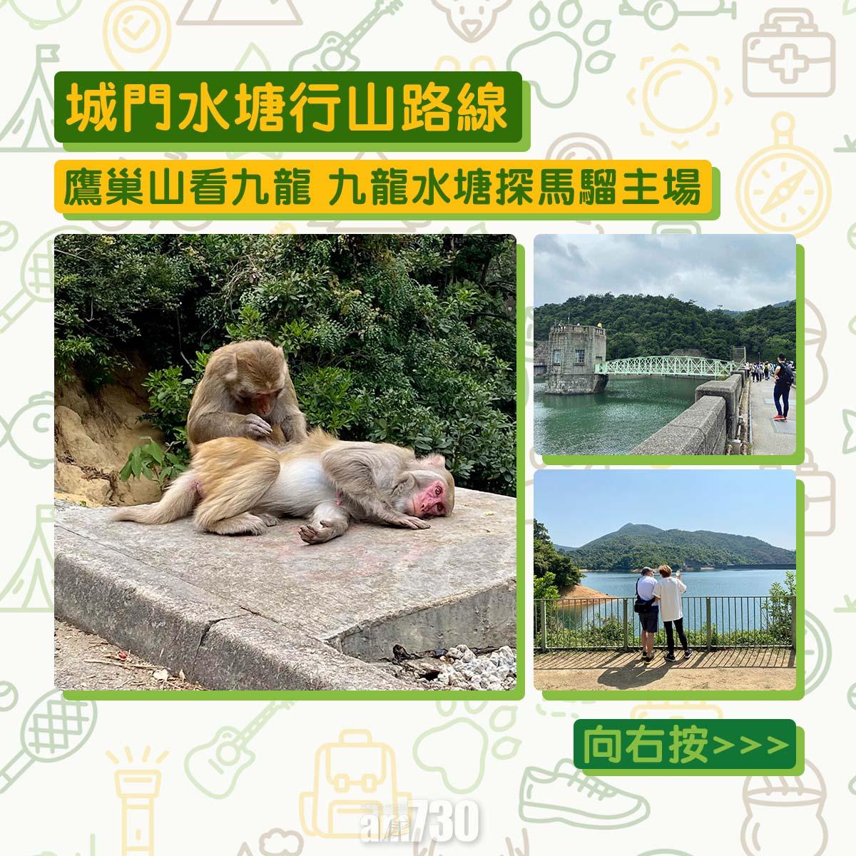 城門水塘行山路線