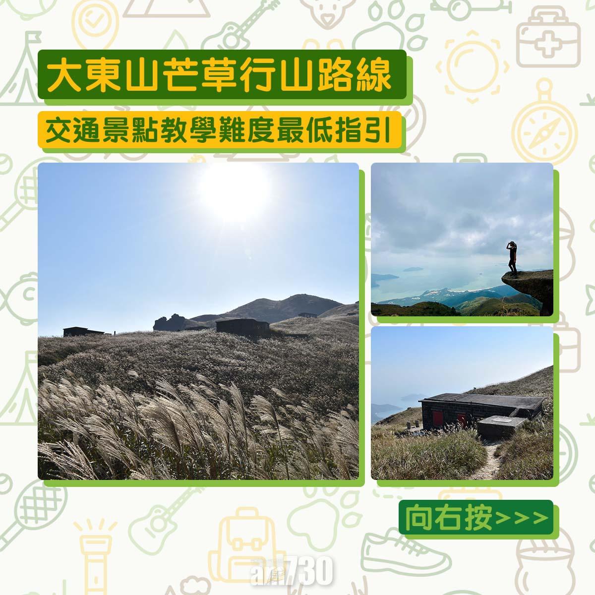 大東山芒草行山路線