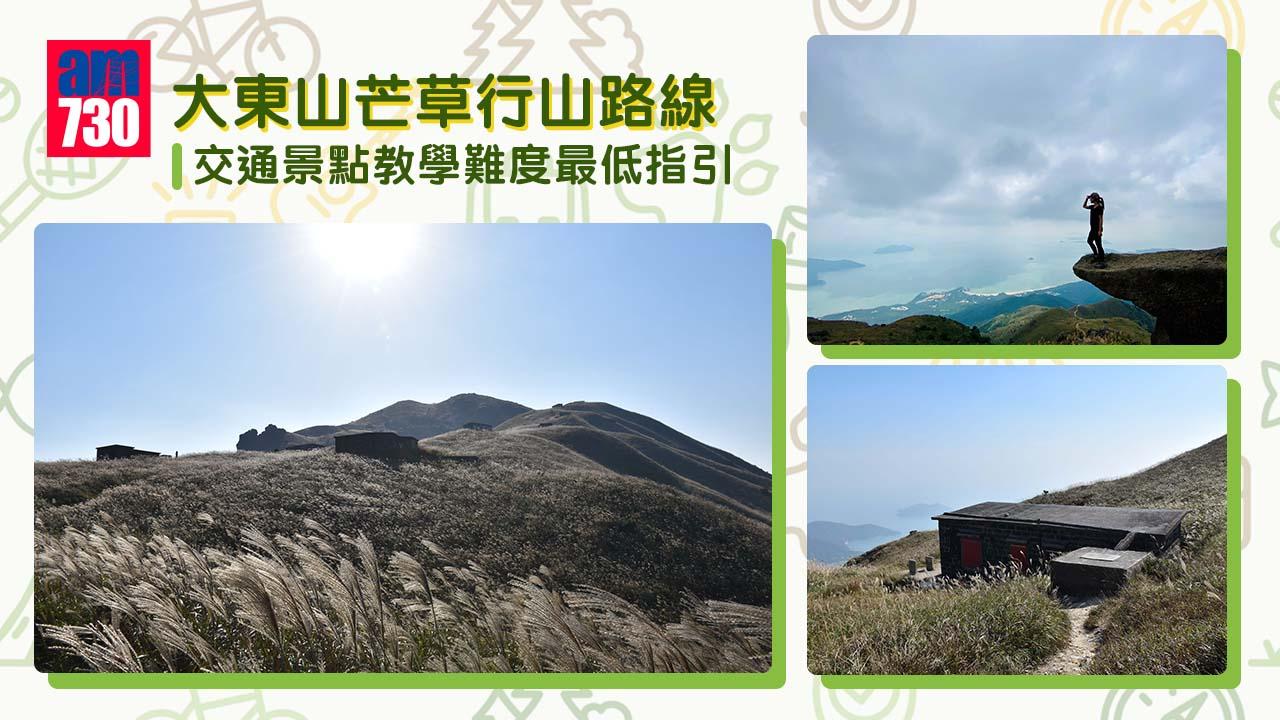 大東山芒草行山路線