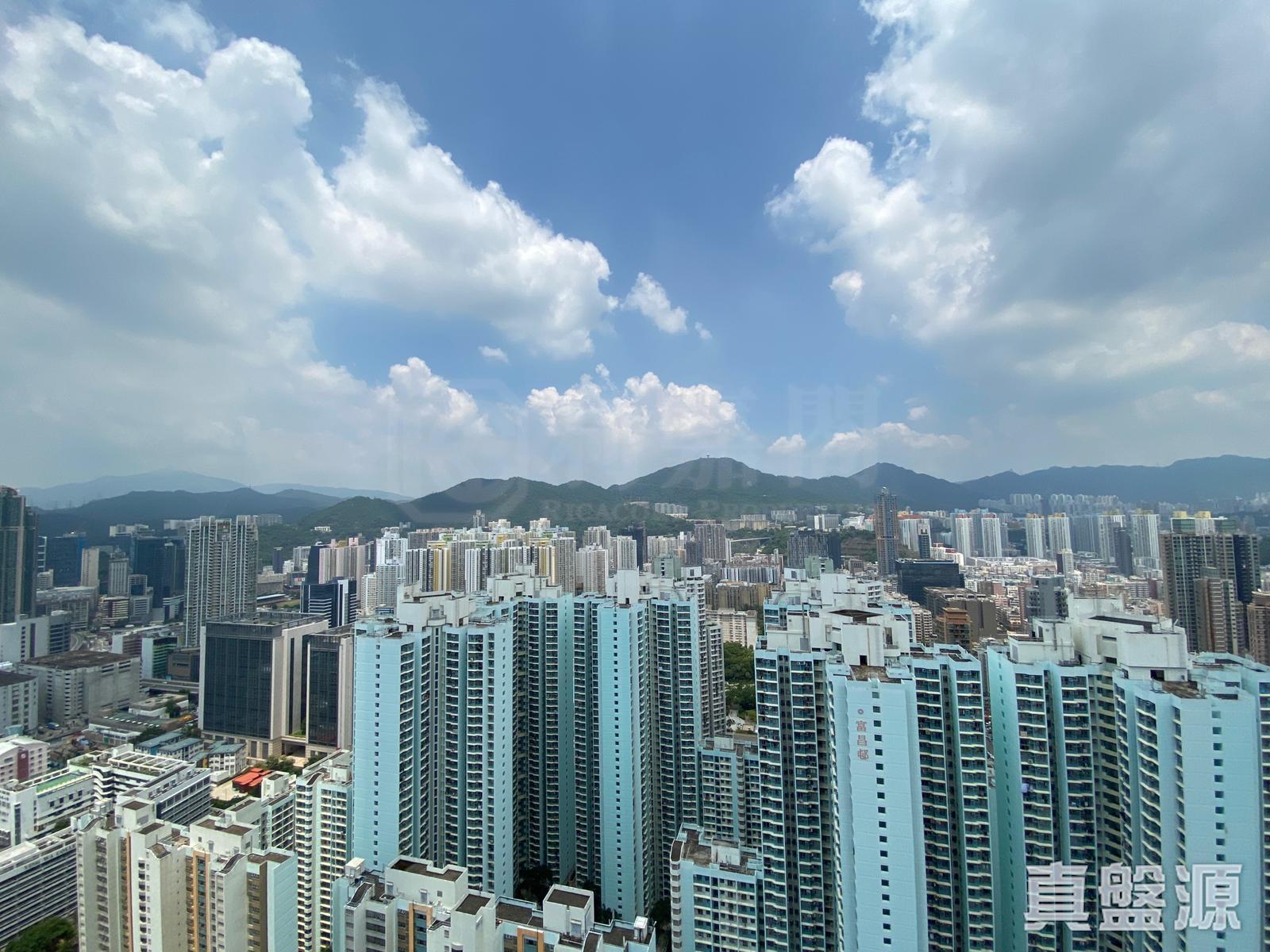 單位外望開揚市景及山景。(代理提供相片)