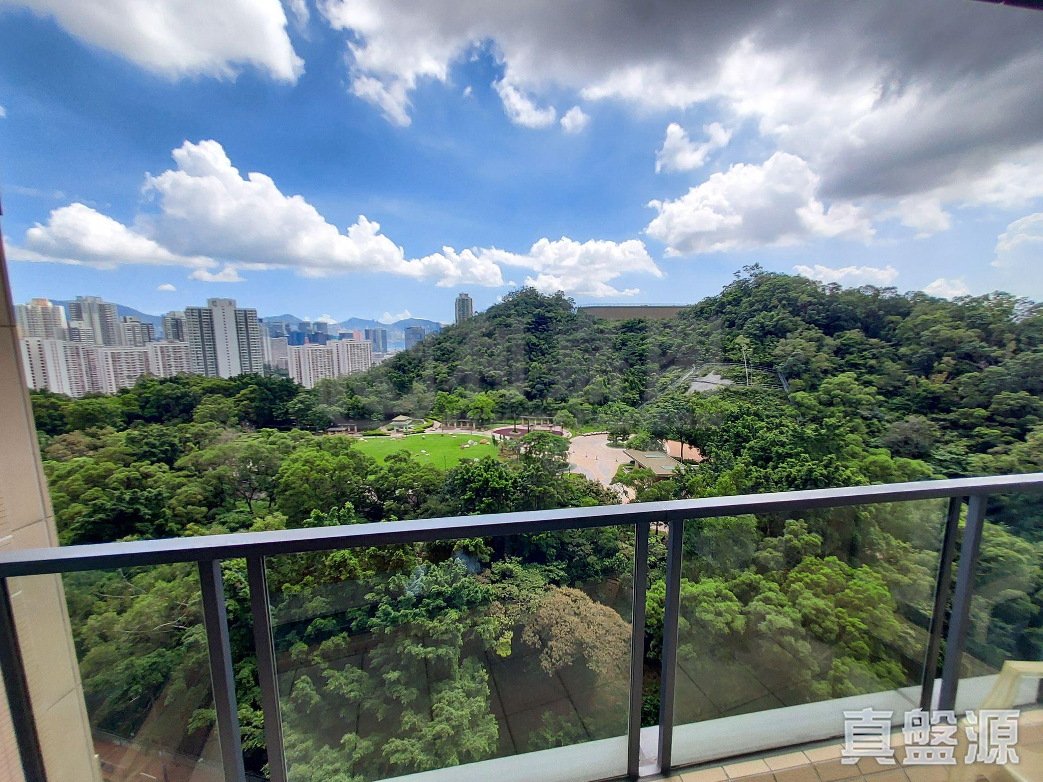 從單位露台外望,全牛池灣公園景致盡收眼底。(代理提供相片)