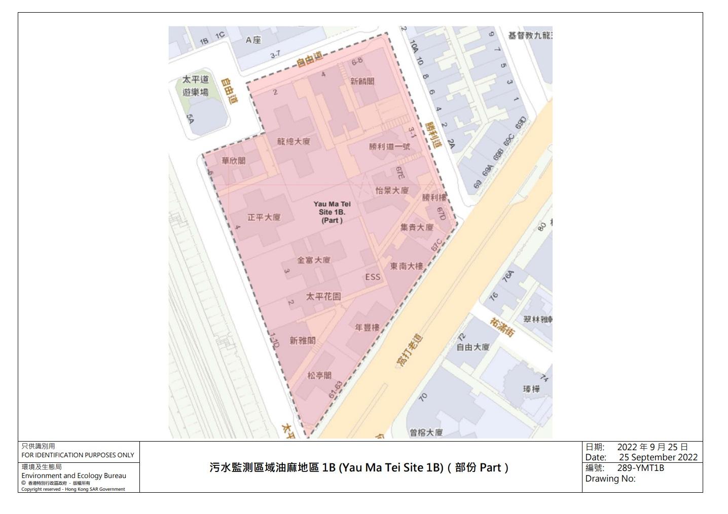 自由道和勝利道附近一帶住宅(紅色範圍),污水檢測出病毒量相對較高。(政府新聞處)