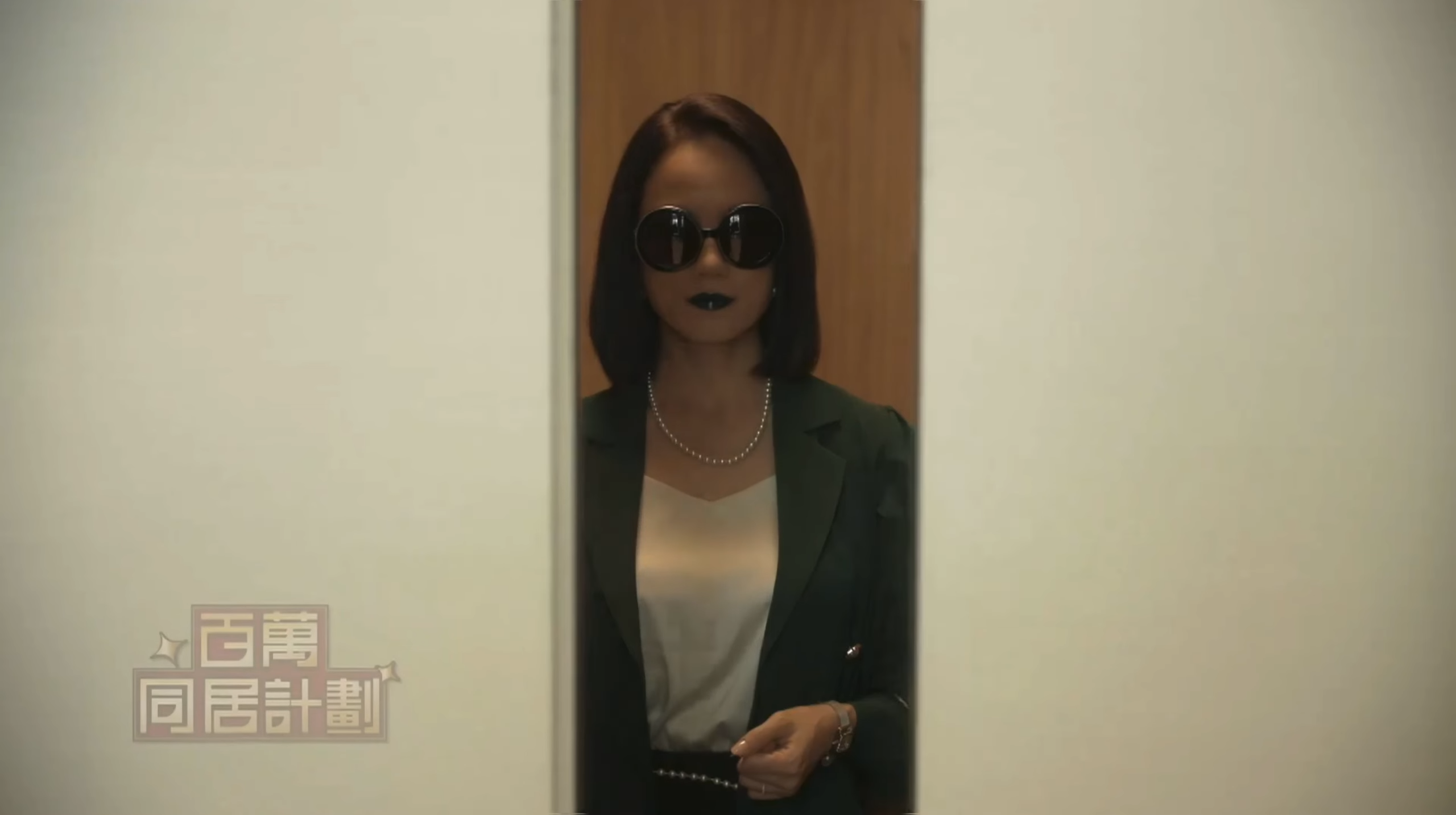 《百萬同居計劃》