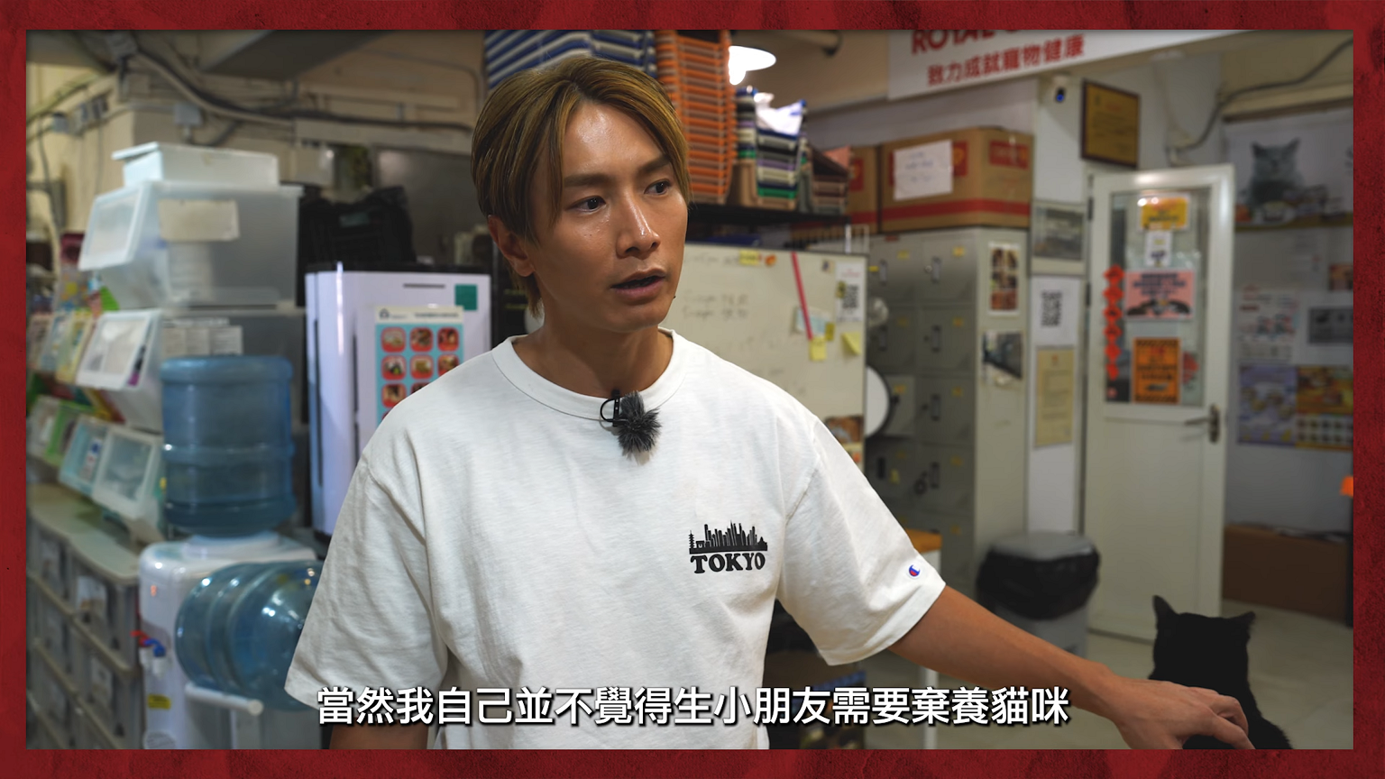 陳柏宇認為生小朋友不應棄貓。