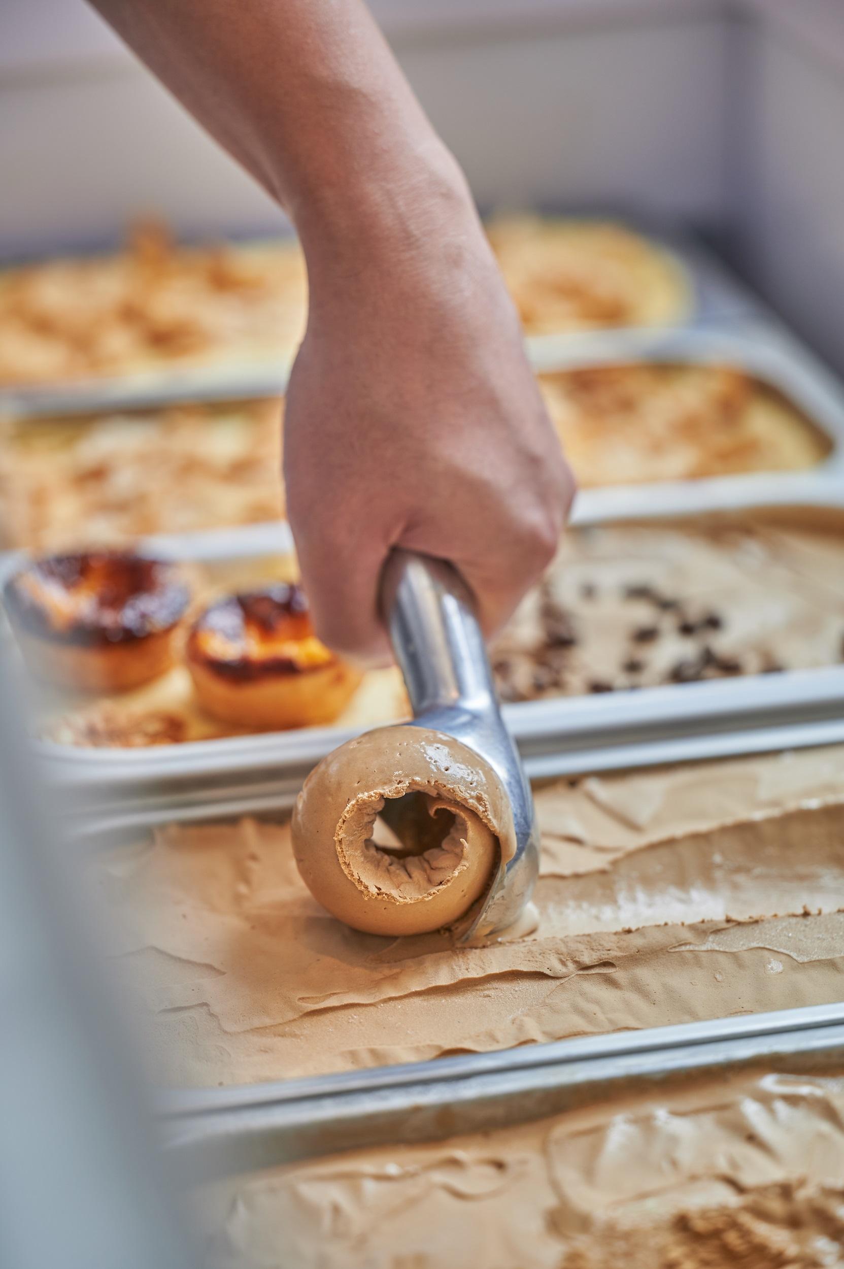 NOC YOHO MALL星期日開幕 枯山水+園林打卡位