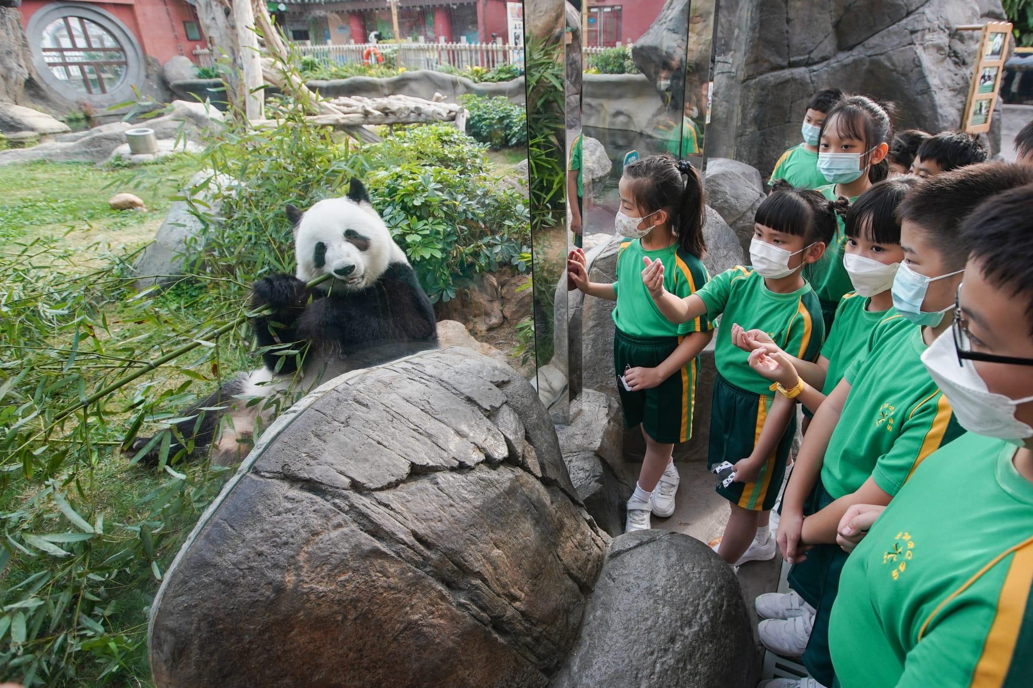 海洋公園植樹儀式紀念大熊貓安安