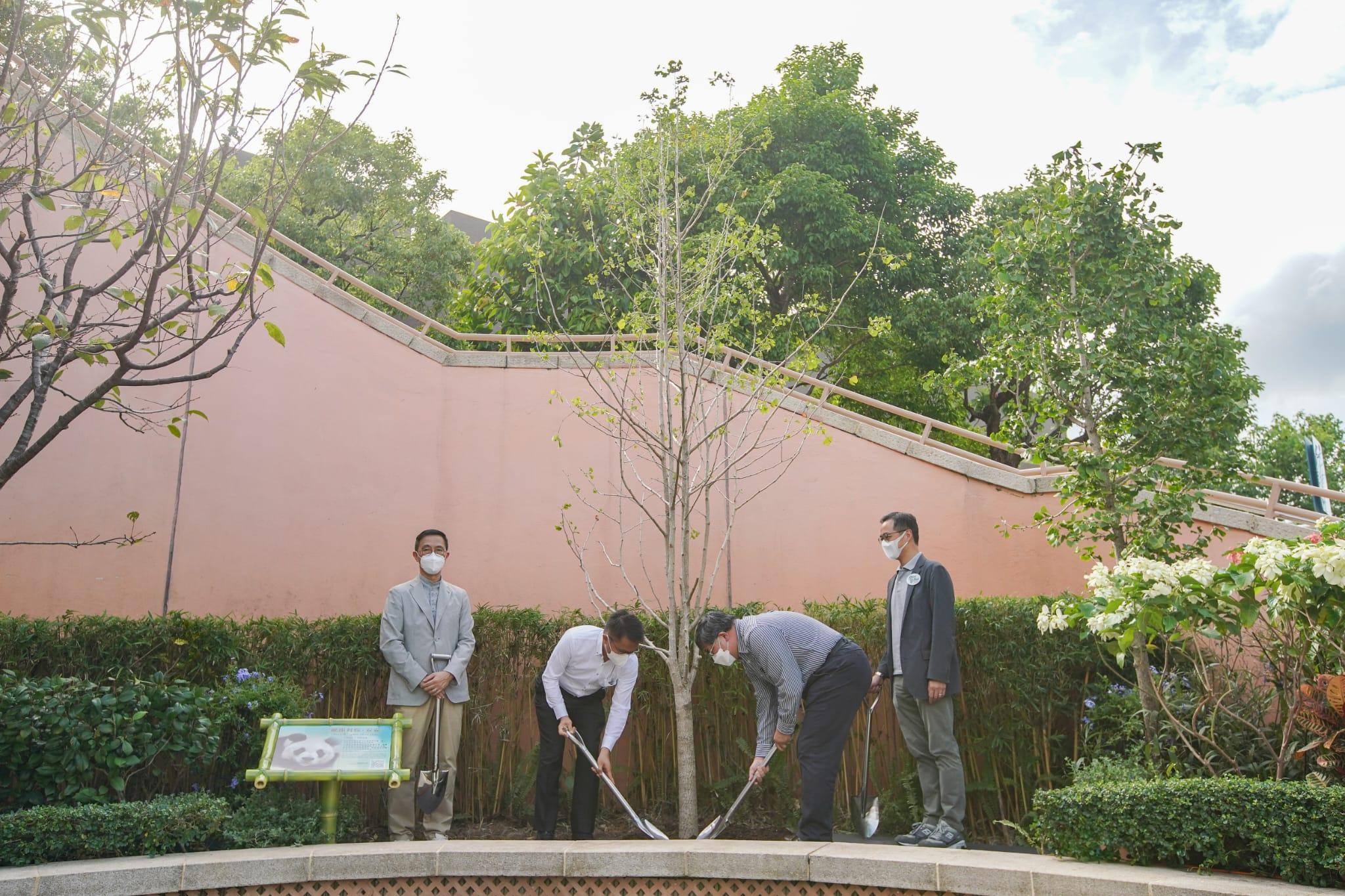 海洋公園植樹儀式紀念大熊貓安安