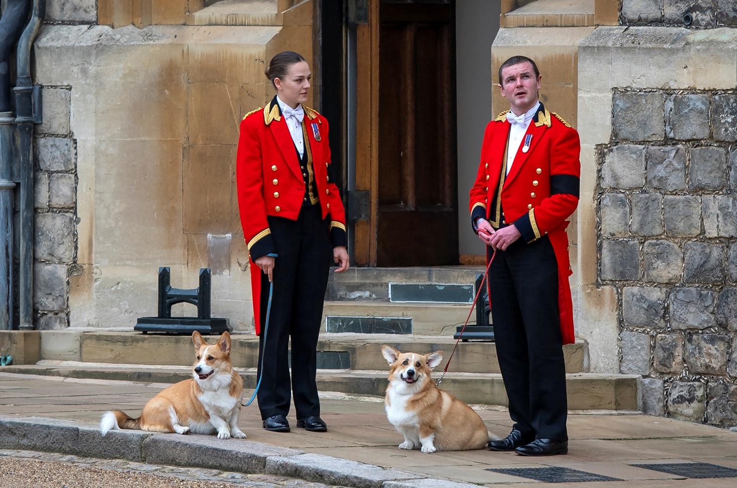 哥基送女王最後一程。(路透社)