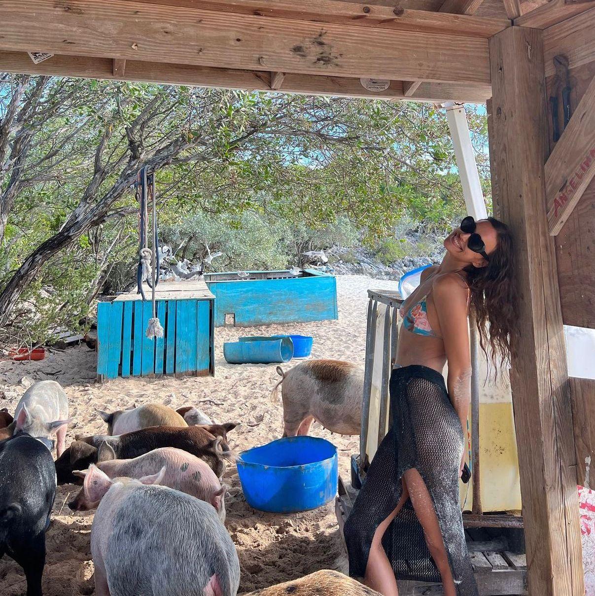 艾琳娜遊巴哈馬的Exuma群島玩豬。