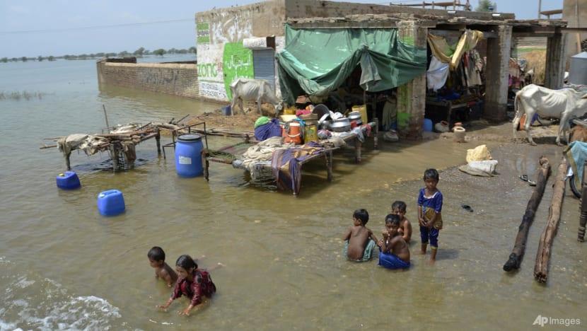 巴基斯坦8月通脹率達27.3%