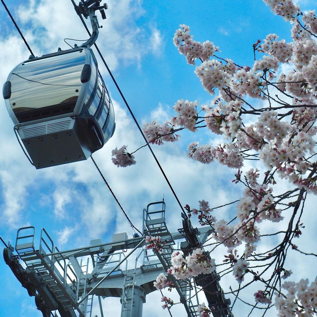 飽覽橫濱港灣景觀。(@yokohamaaircabin)