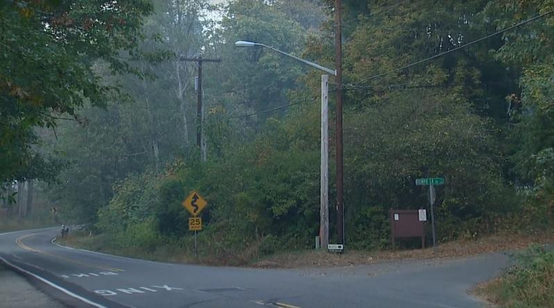 狠夫把受害人載到一處森林下手。(互聯網)