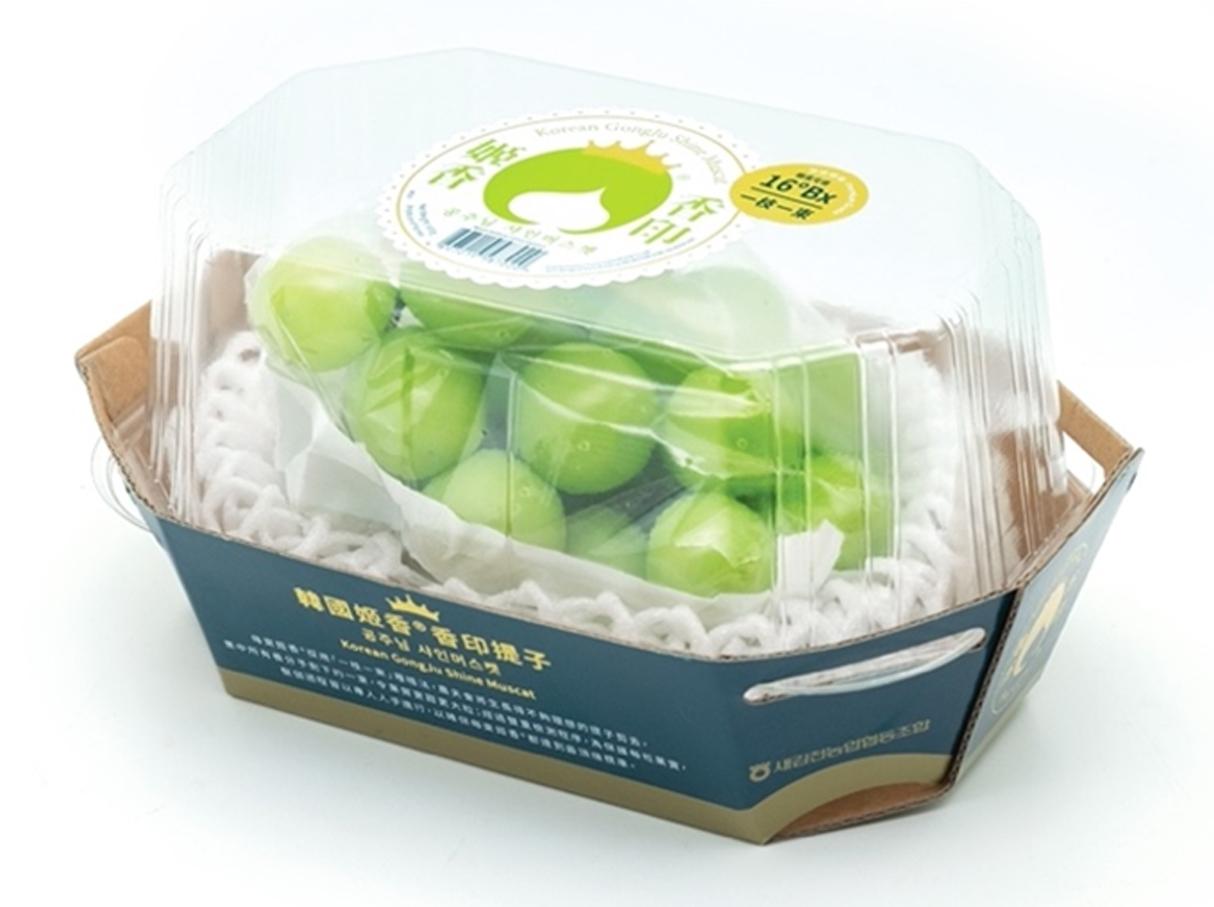 姬香公主產自韓國慶尚北道金泉市