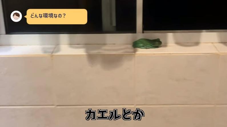 有「小動物」入侵房間。(互聯網)