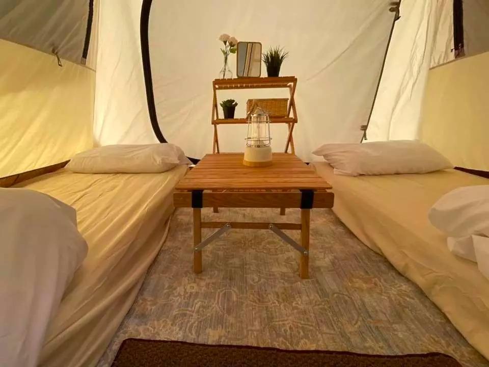 擁有百年歷史的Ogawa多年來於傳統中創新,釀造出獨特的設計風格,營造別樹一格的露營美學。