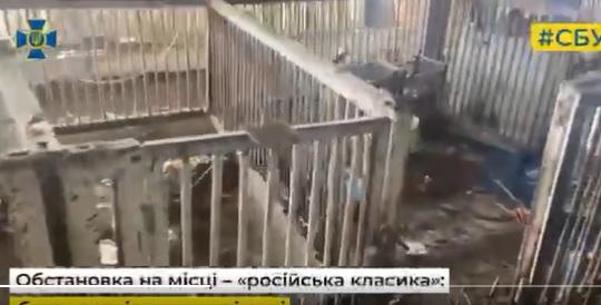 豬欄居住環境惡劣。(互聯網)