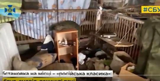 豬欄放著家具和日用品。(互聯網)