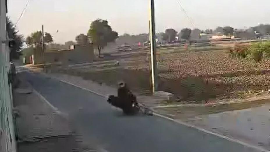 黑鳥剛好撞上駛經的鐵騎士。(Twitter)