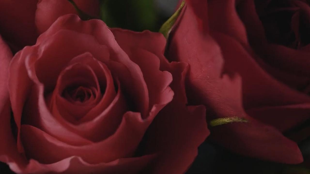 著接連出現玫瑰花、朱古力、塞納河畔夕陽的美景,以及情侶挽手的畫面。(Twitter)