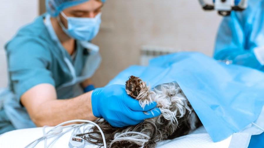 個案二:膽囊切除手術報價6.5 萬,最終收費多近一倍。(網上圖片)