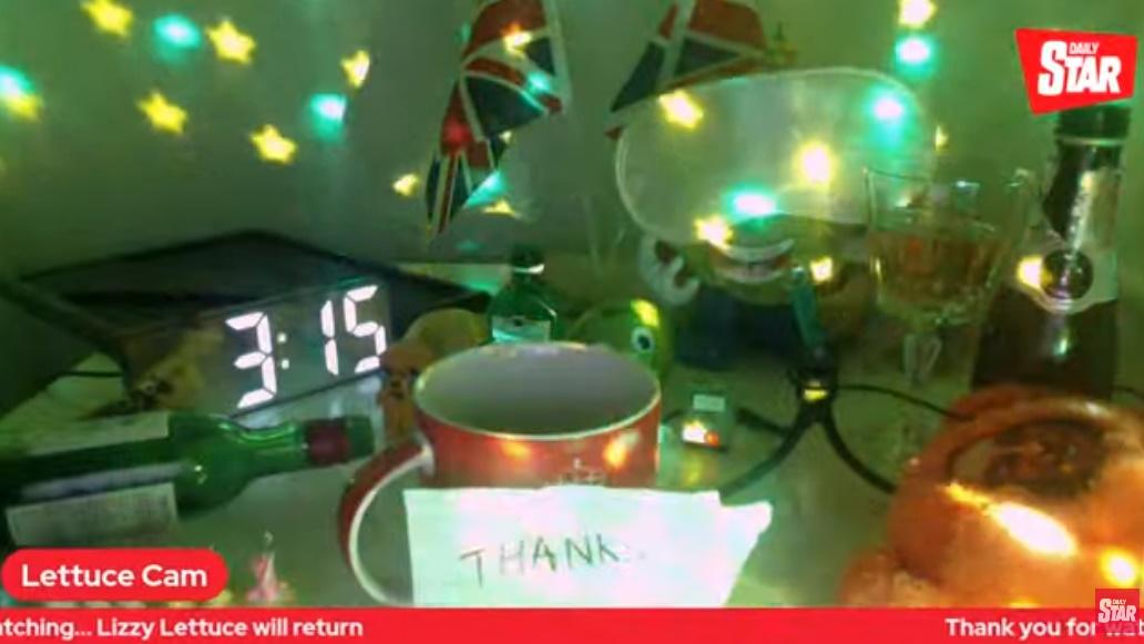 西生菜休息。(YouTube)