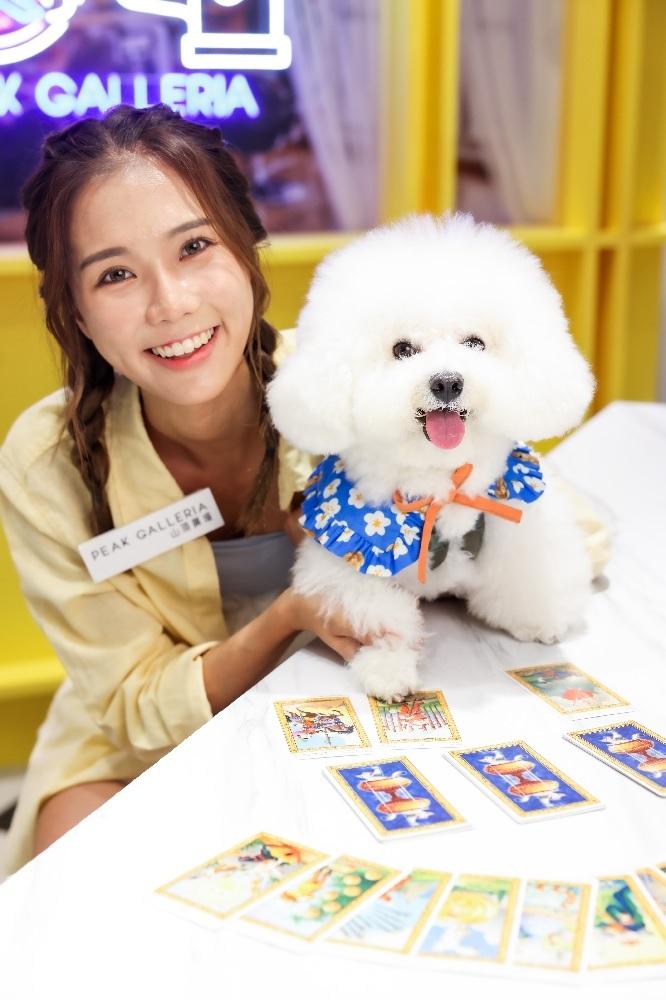 「寵物塔羅體驗」。