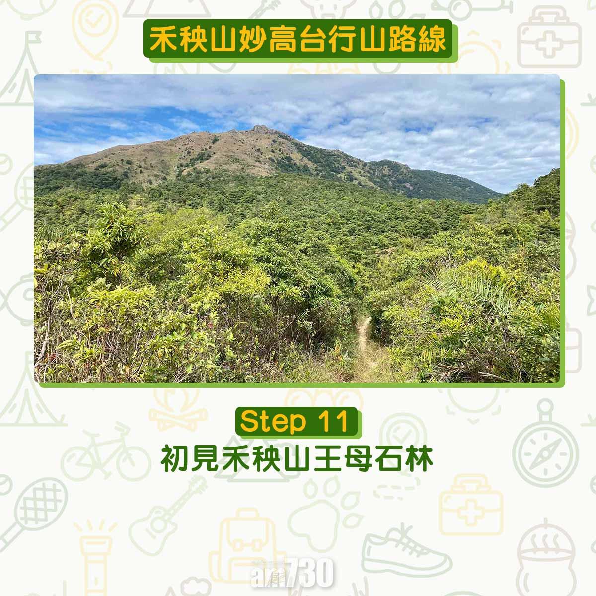 禾秧山芒草行山路線
