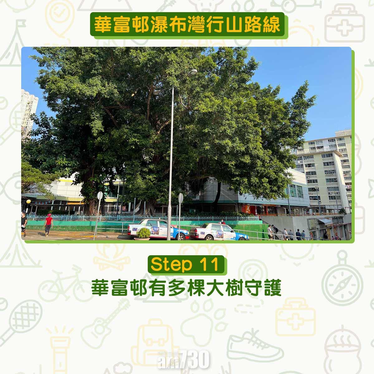 華富邨瀑布灣行山路線