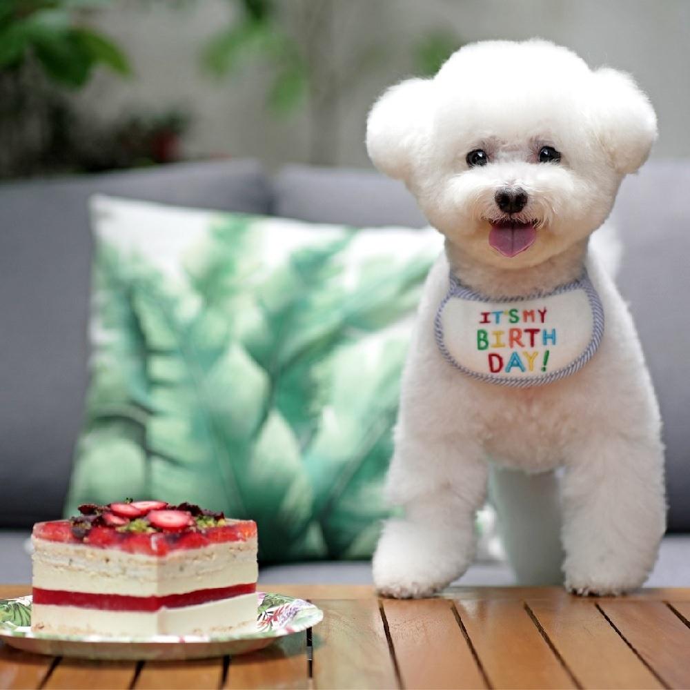 LIFETASTIC PETisserie│購買正價寵物蛋糕現貨滿港幣100元,可獲九折優惠。│Fashion Walk 記利佐治街11-19號一樓Kiosk 1A號舖